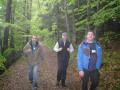 wald.jpg