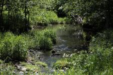 K1024_IMG_9442.JPG