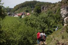 K1024_IMG_9444.JPG