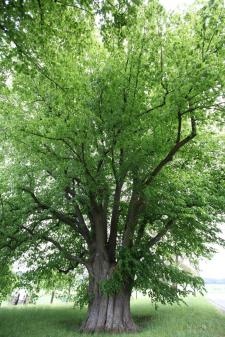K1024_IMG_9723.JPG